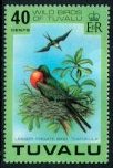 Lesser Frigate Bird